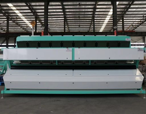 CCD Fındık Kabak Çekirdeği Ayırma Makinesi Tam Renkli